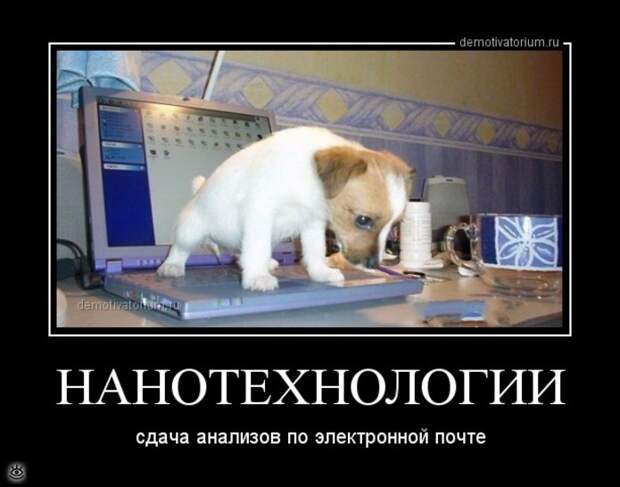 Пусть жизнь научит! 34