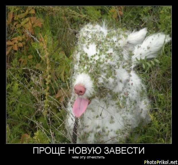 Смешные и прикольные демотиваторы (34 демотиватора) Смешные и прикольные демотиваторы (34 демотиватора)