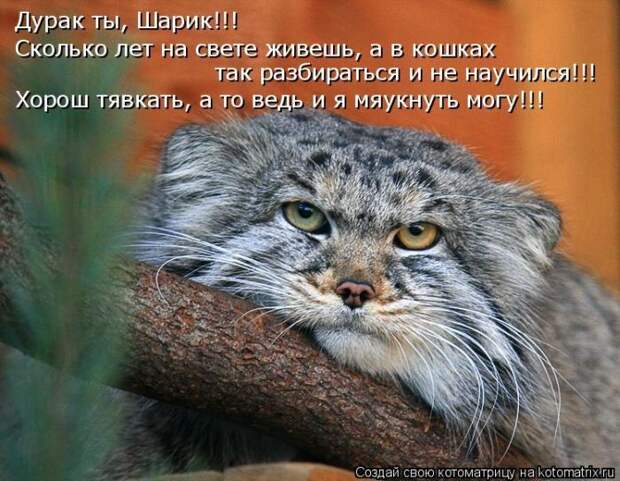 Мысли вслух :)