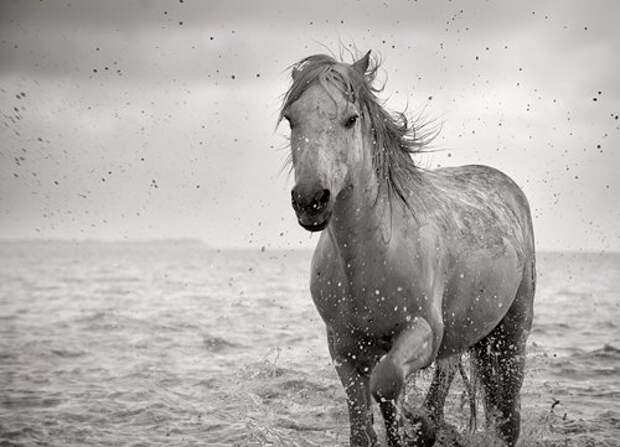Фотограф Jonathan Critchley