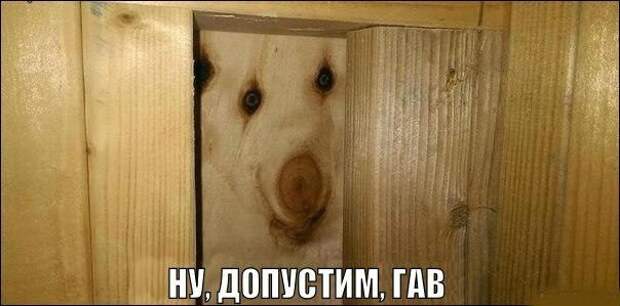 Они следят за тобой