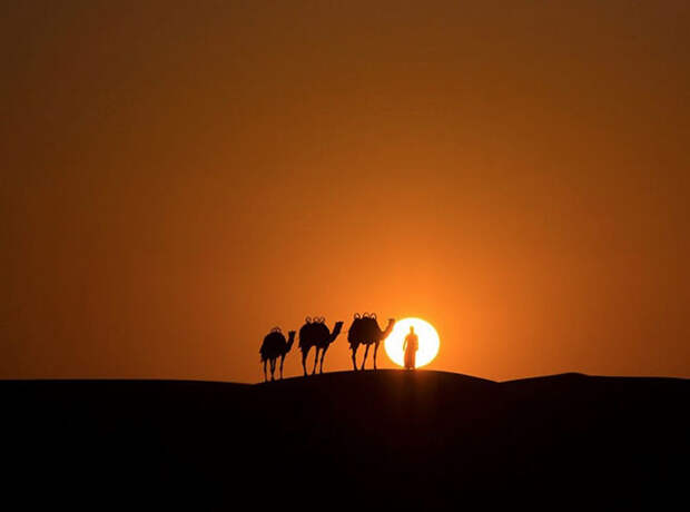 Лучшие фотографии сентября 2015 от National Geographic