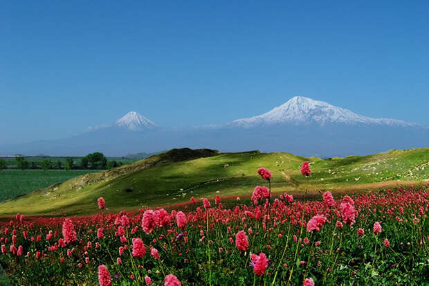 Гора Арарат, Армения