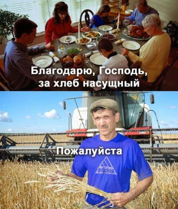 Улыбаемся, смотрим прикольные картинки.