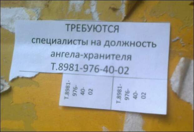 Прикольные надписи и объявления надписи, объявления, юмор