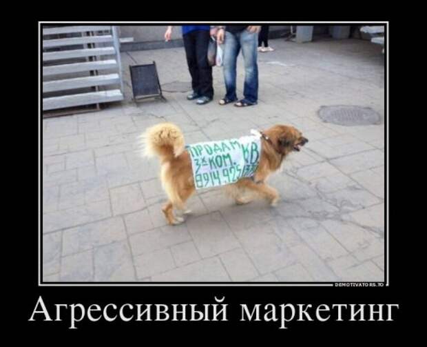 Новые демотиваторы для всех (17 шт)