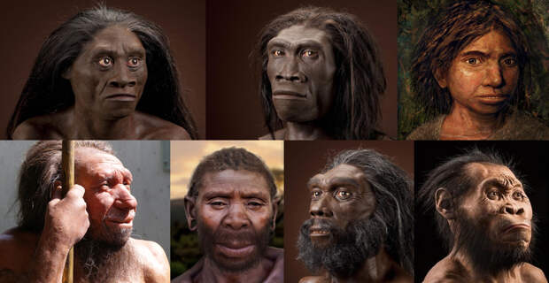 Новый вид людей или денисовцы? Homo longi и кратко Homo Nesher Ramla