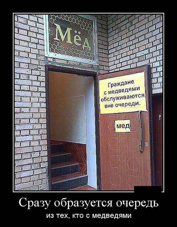Демотиваторы бревно, демотиваторы, юмор
