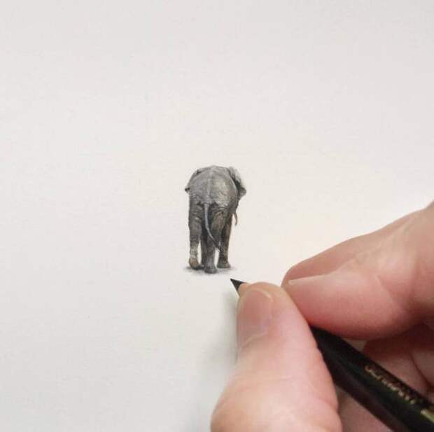 Удивительно точные миниатюрные рисунки Карен Лайбкэп (Karen Libecap) картины, миниатюры