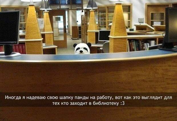 Смешные картинки с подписями катинки, прикол, юмор