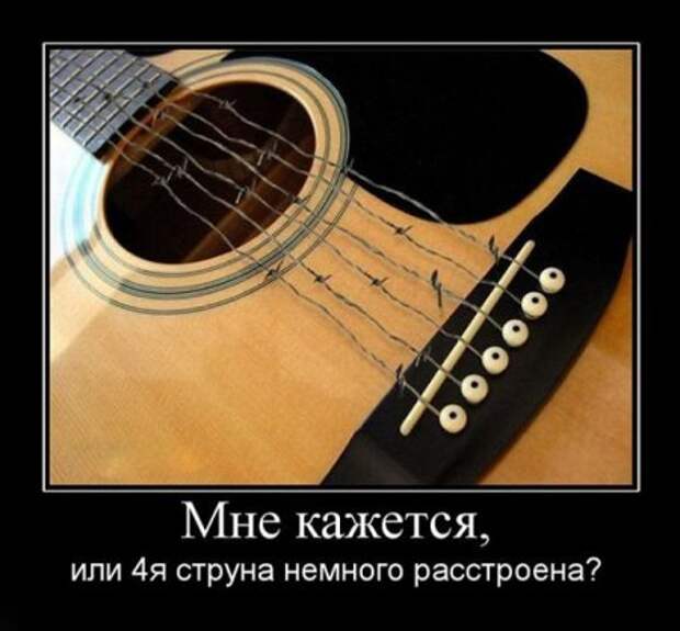 Демотиваторы забавные, новые и только прикольные для вас!