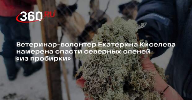 Ветеринар-волонтер Екатерина Киселева намерена спасти северных оленей «из пробирки»