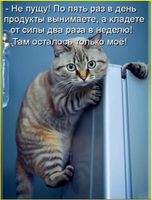 Семья - это когда завтрак готов и после вчерашней ссоры