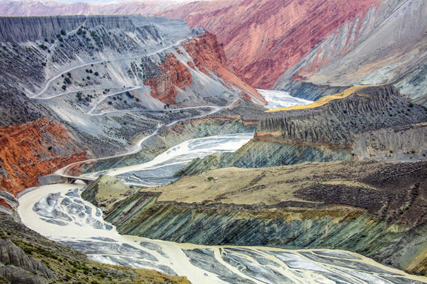 Победители конкурса от National Geographic в 2015 году