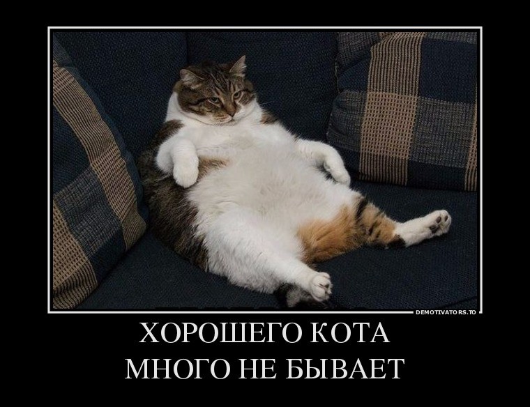 Подборка демотиваторов, которые поднимут вам настроение! демотиваторы, юмор