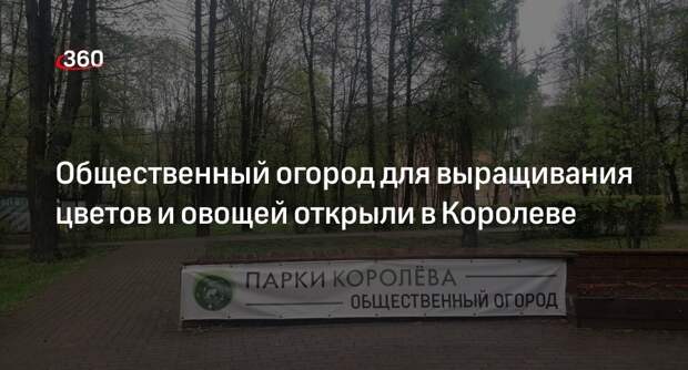 Общественный огород для выращивания цветов и овощей открыли в Королеве