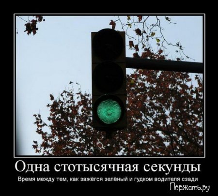Димативаторы, новые прикольны 25 фото