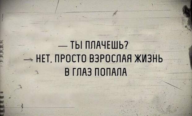 Прикольные картинки (98 фото)