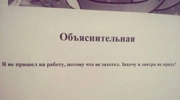 Вот как правильно писать объяснительные Вот как правильно писать объяснительные объяснительные, смешно