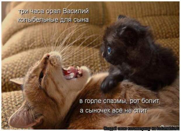 Котоматрицы(картинки с надписями)