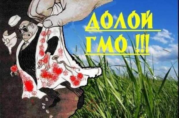 Отказ от ГМО огромный вклад в будущее