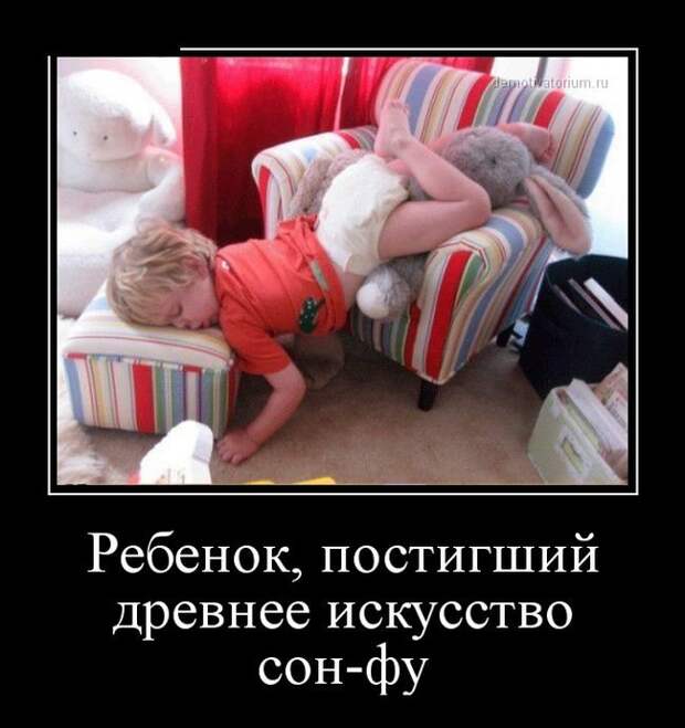 Новый сборник демотиваторов (17 шт)