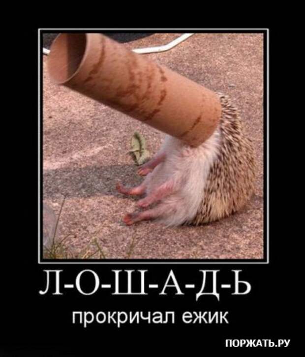 Демотиваторы, не много, но все прикольные!