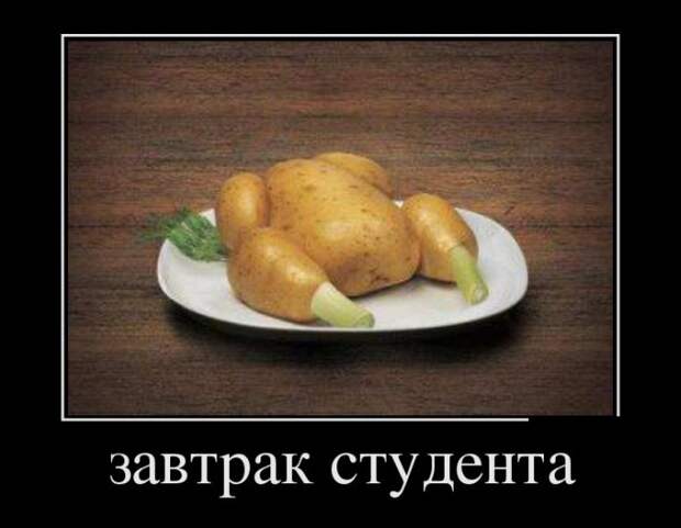 Демотиваторы (30 фото)