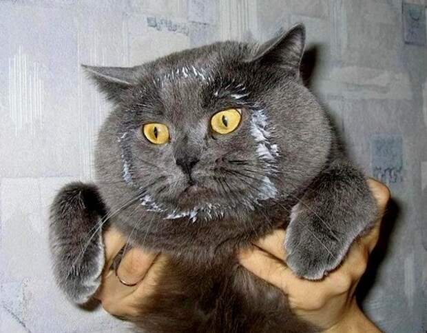 llxtr67j7wxf