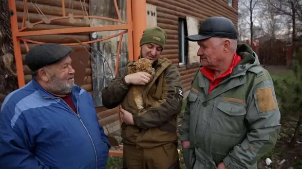 Символ мира: из Мариуполя в ДНР отправили маленькую львицу