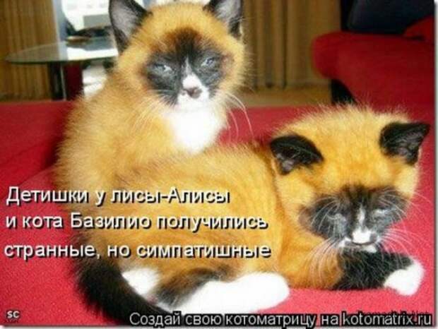 Подборка Котоматриц 2010 - Выпуск 28