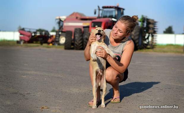 Пшеничная принцесса Пшеничная принцесса пшеница, студентка