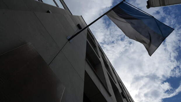 Bloomberg: в эстонской верхушке произошел раскол из-за России