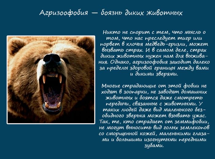 Фобии, связанные с природой (10 фото)