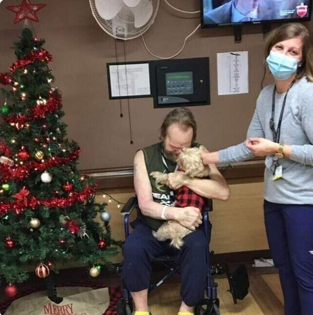 3. Этому мужчине пришлось отдать своего пса в приют, потому что ему предстояло надолго лечь в больницу 3. Этому мужчине пришлось отдать своего пса в приют, потому что ему предстояло надолго лечь в больницу