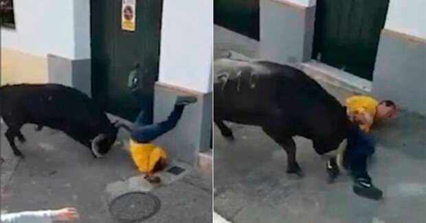 Разъяренный бык забодал участника ежегодного бега с быками в Испании бег с быками, бык, видео, животные, инцидент, испания, смерть