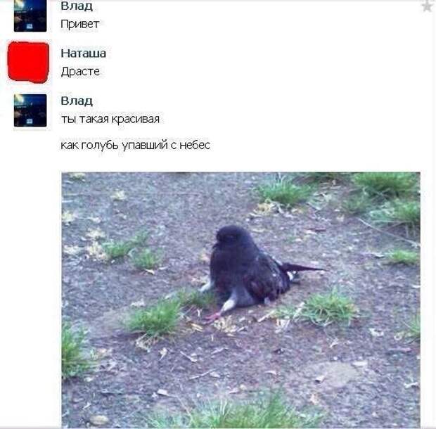 Комментарии из соцсетей