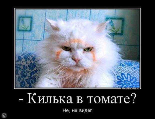 Настраивайся на положительные эмоции! 1