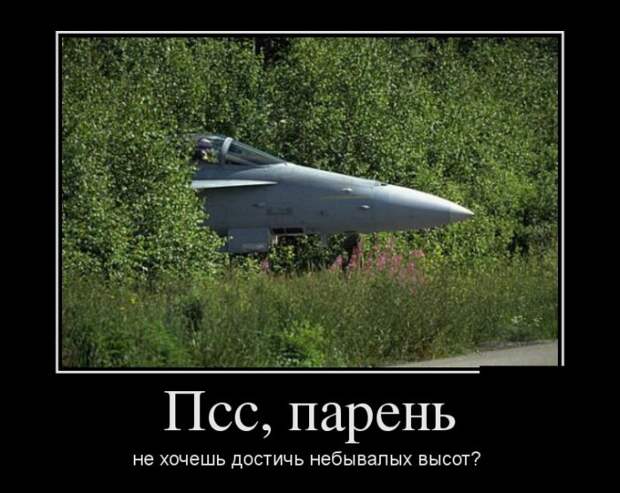 Пятничная подборка демотиваторов демотиватор, юмор