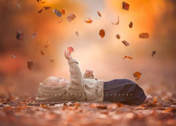 Красивые и интересные фотки. Осенние (25 штук)