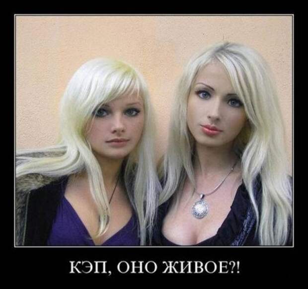 Просто прикольные демотиваторы.