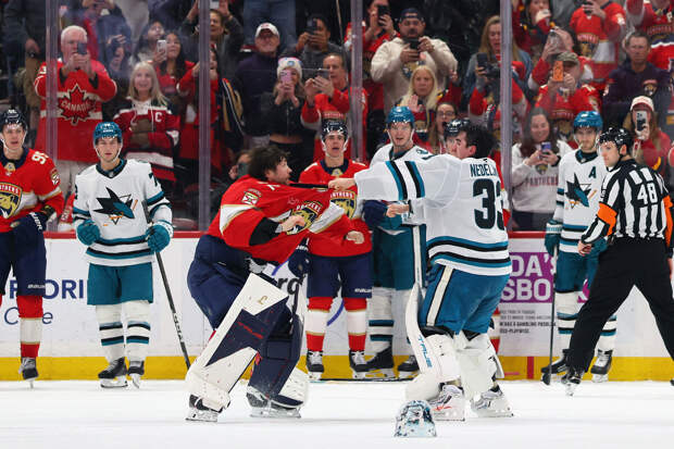 Бобровский подрался с вратарем "Сан-Хосе"