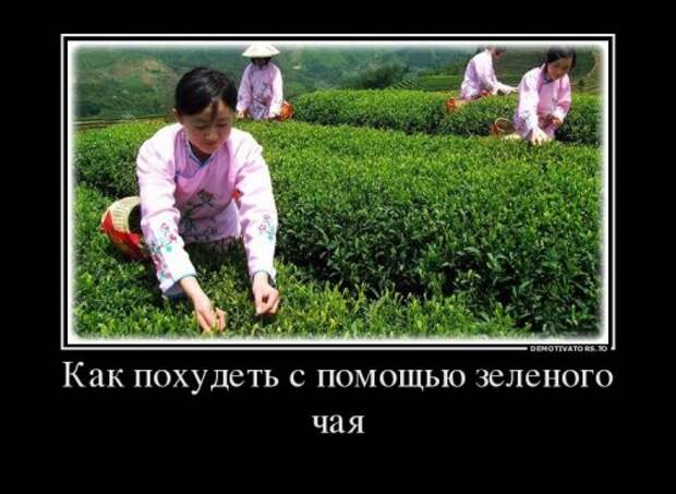 Свежие демотиваторы (17 шт)