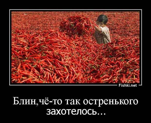 Демотиваторы  демотиваторы, прикол, смех, юмор