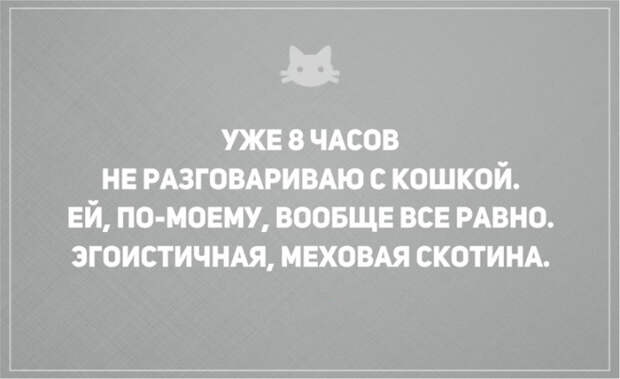 открытки о том, что без кота и жизнь не та (11)
