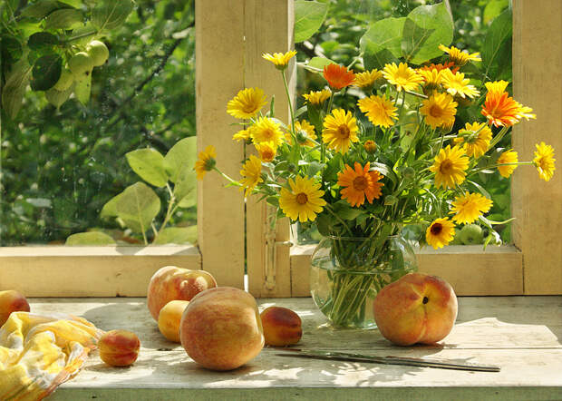 Персики для друзей :-) Персики для друзей :-)