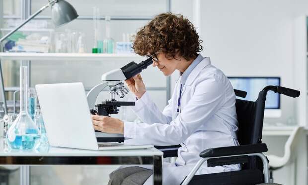 Разгадана тайна золотистой мыши, которая стареет в 7 раз медленнее — как это поможет людям