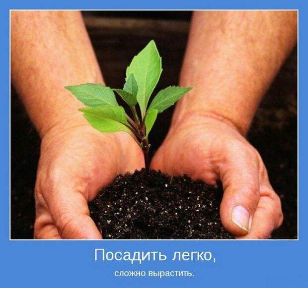 Мотиваторы VII Мотиваторы