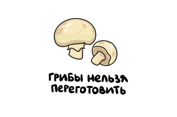 Интересные и короткие факты на все случаи жизни
