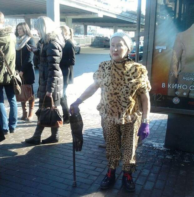 Модники мода, одежда